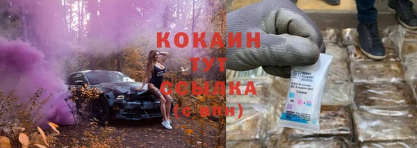молекула духа Дмитровск