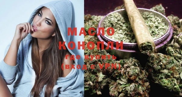 амф Дмитров