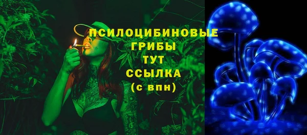 амф Дмитров